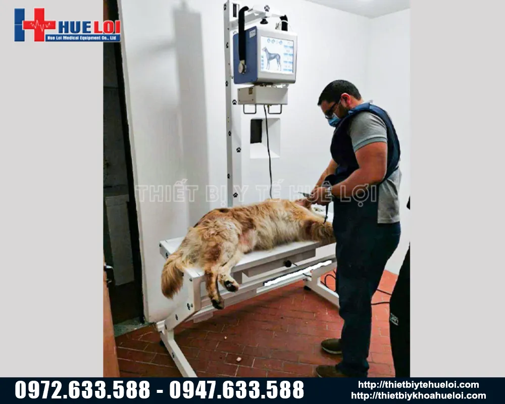 Hệ thống chẩn đoán hình ảnh X-Quang thú y di động