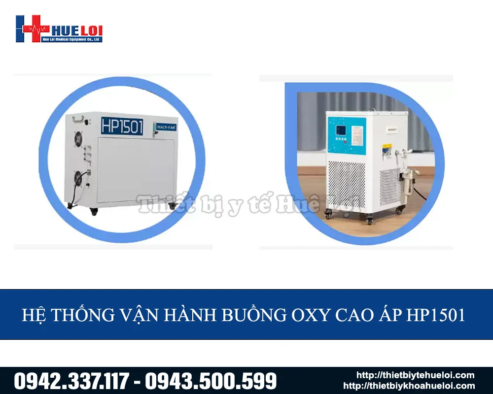 Hệ thống vận h&agrave;ng buồng oxy cao &aacute;p HP1501