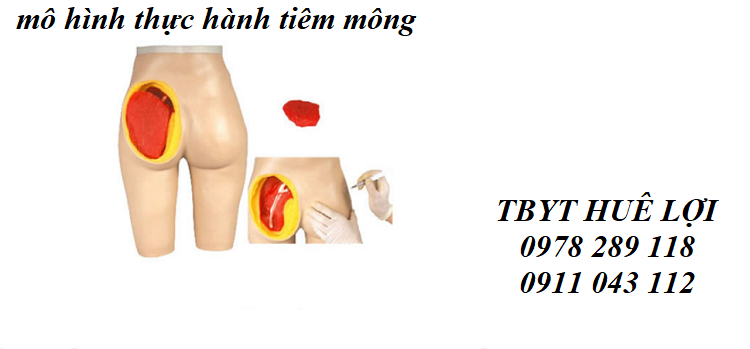 mô hình thực hành tiêm mông