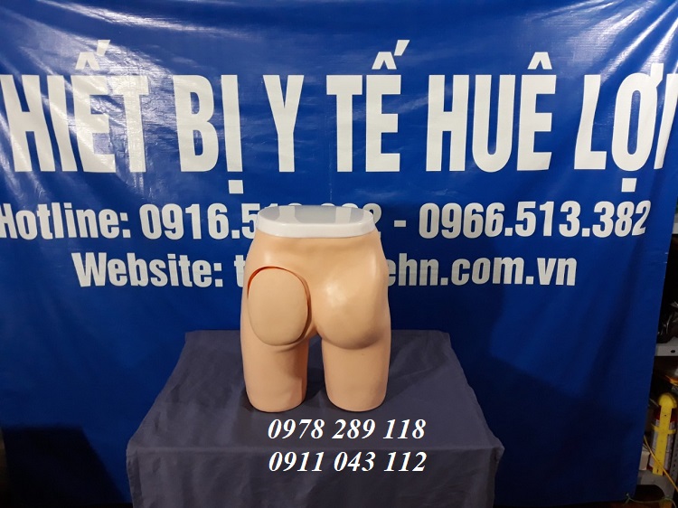 mô hình thực hành tiêm mông