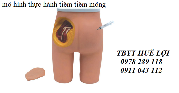 mô hình thực hành tiêm mông