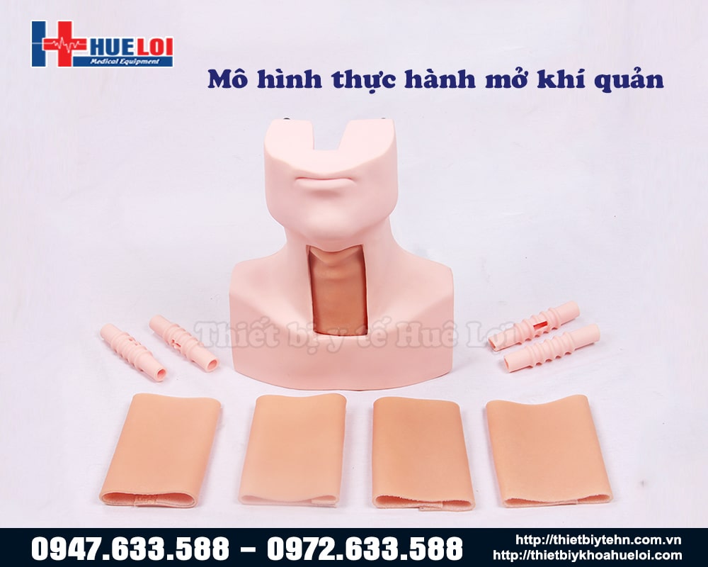 mô hình đặt nội khi quản