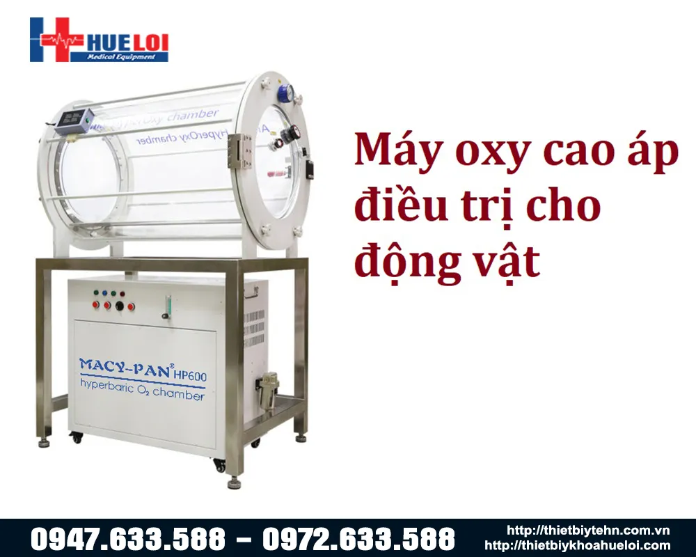 Buồng oxy cao áp cho động vật